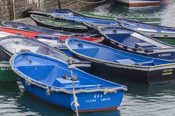 Guipúzcoa - Hondarribia 35 - puerto pesquero.jpg